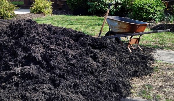 Black Mulch Delivery in Thousand Oaks