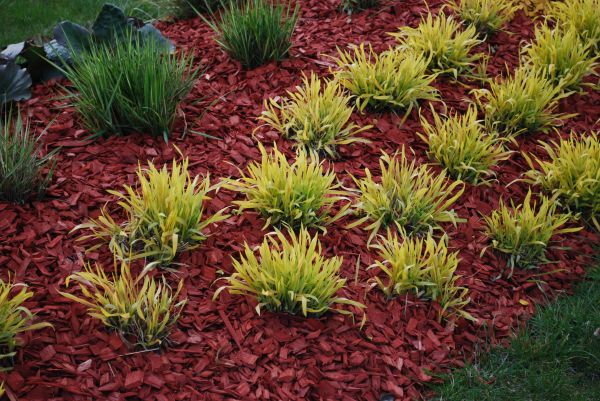 Mulch Landscaping in Thousand Oaks