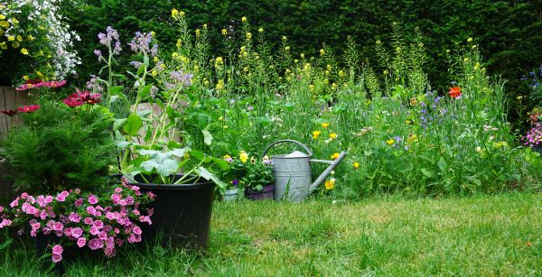 Natural Garden Design
