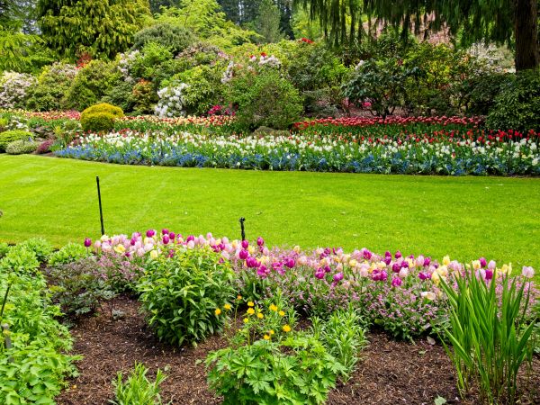 Residential Landscape Design in Thousand Oaks
