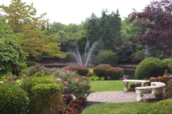 Courtyard Design Service in Thousand Oaks