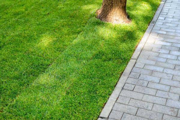 Border Stone Installation in Thousand Oaks