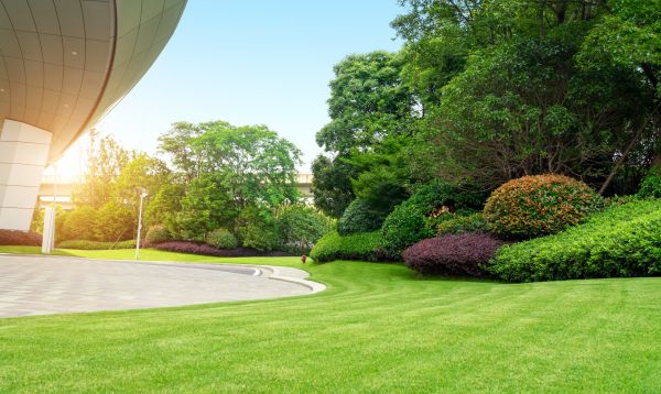 Business Landscape Design in Thousand Oaks