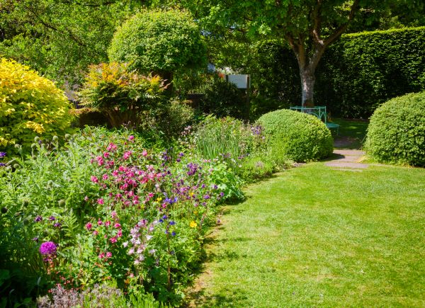 Yard Landscaping Service in Thousand Oaks