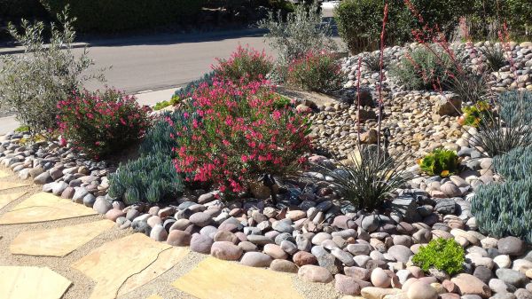 Xeriscape Landscaping in Thousand Oaks