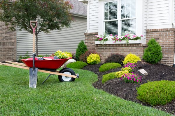 Tree And Shrub Planting in Thousand Oaks