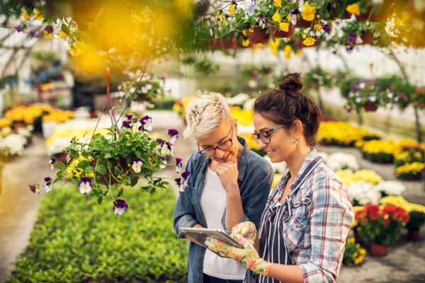 Garden Consultation