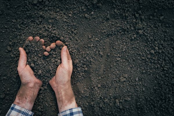 Soil Installation in Thousand Oaks