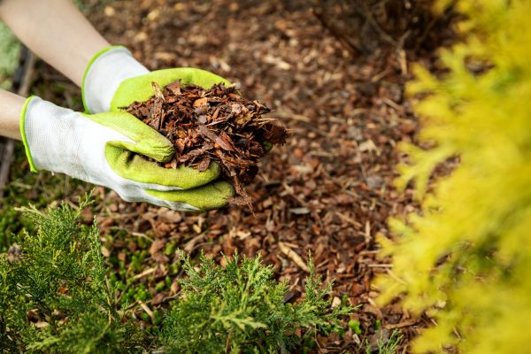 Garden Mulch Delivery in Thousand Oaks