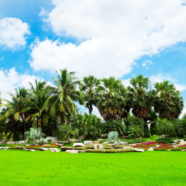 Tropical Landscaping in Thousand Oaks
