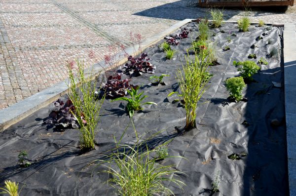 Landscape Fabric Installation in Thousand Oaks
