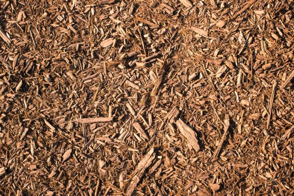 Wood Chips Removal in Thousand Oaks