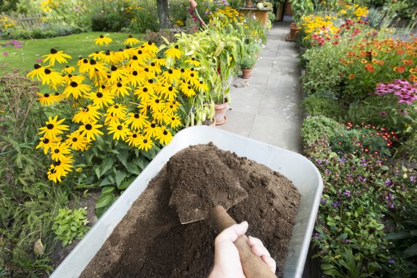 Topsoil Replacement in Thousand Oaks