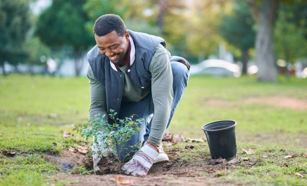 Plant Relocation Service