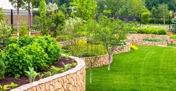 Yard Makeover Service in Thousand Oaks