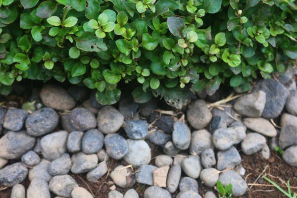 River Stone Installation in Thousand Oaks
