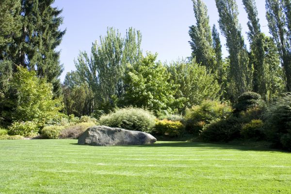 Yard Enlargement in Thousand Oaks