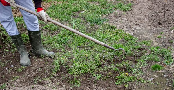 Garden Spring Cleaning