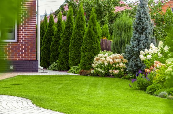 Spring Landscaping in Thousand Oaks