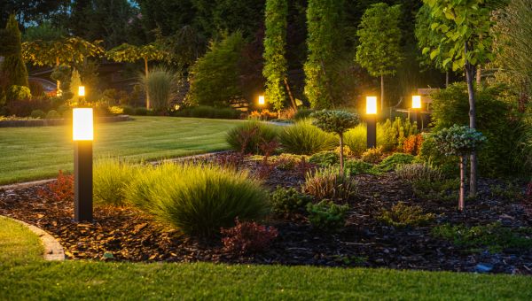 Yard Enhancement