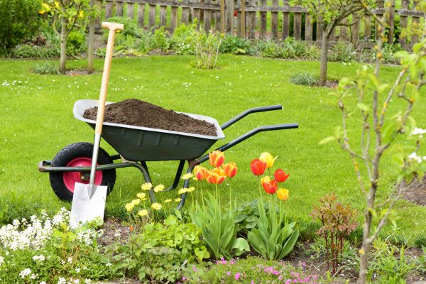 Spring Yard Renovation in Thousand Oaks
