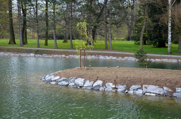 Pond Landscaping Service in Thousand Oaks