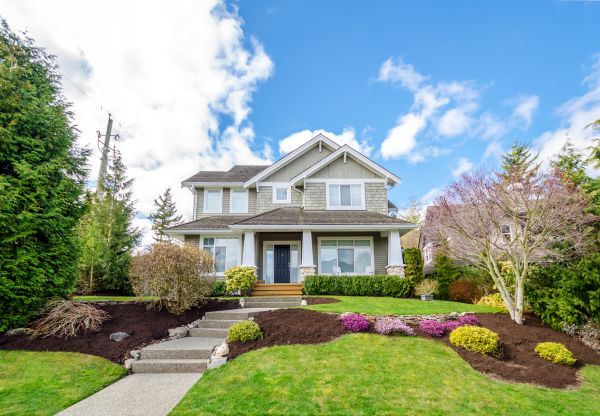Landscaping Replacement in Thousand Oaks
