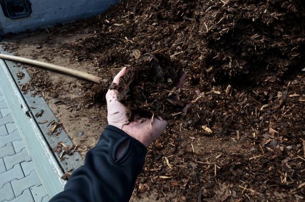 Condo Mulching in Thousand Oaks