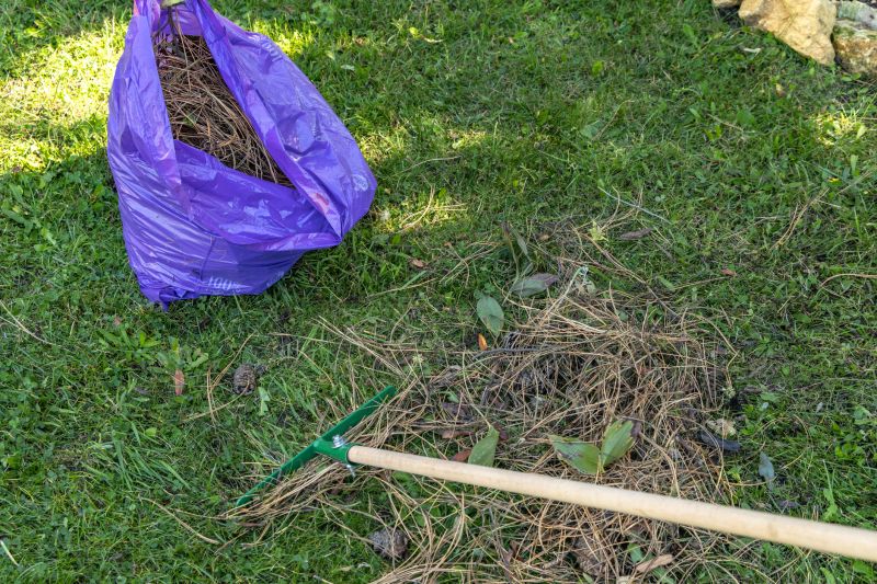 Tools You Actually Need