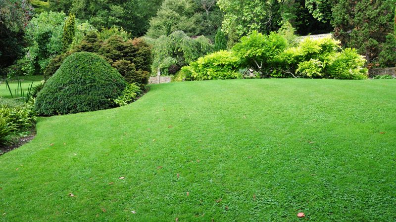 Completed Landscape with Lawn