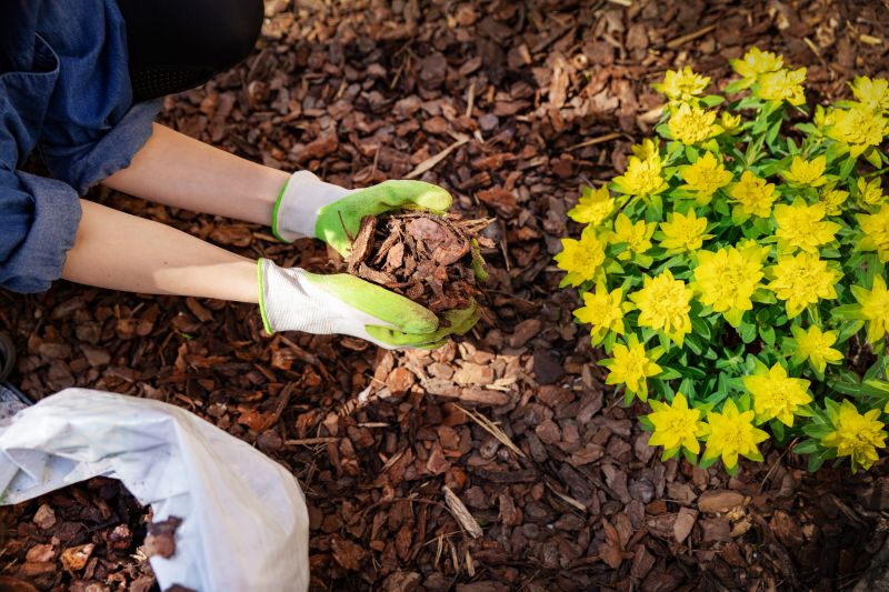 Pine Mulch Spreading